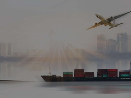 exportacoes-noticias